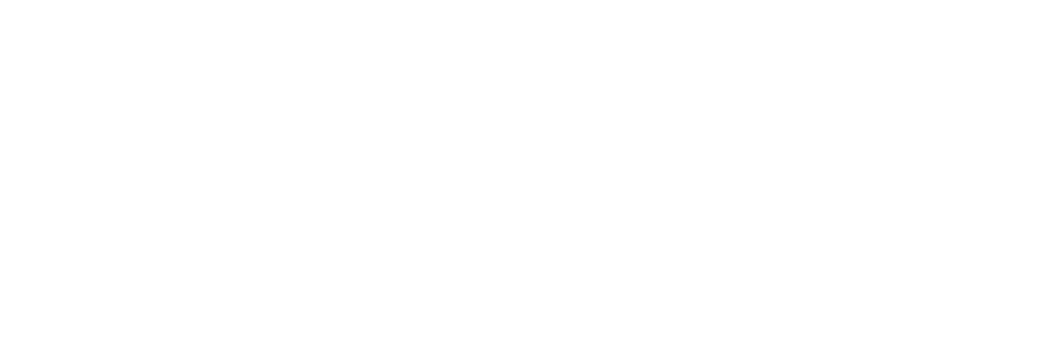 veneta-cucine-logo 1
